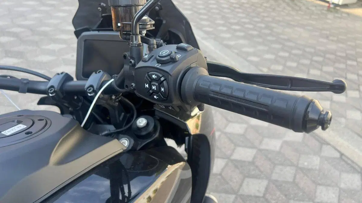 Harley-Davidson Pan America 1250 ST (2025 - 26)  (6)