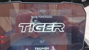 Triumph Tiger 900 GT Pro (2020 - 23)  (5)