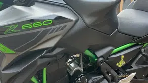 Kawasaki Z 650 (2021 - 24) 