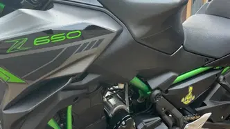 Kawasaki Z 650 (2021 - 24)