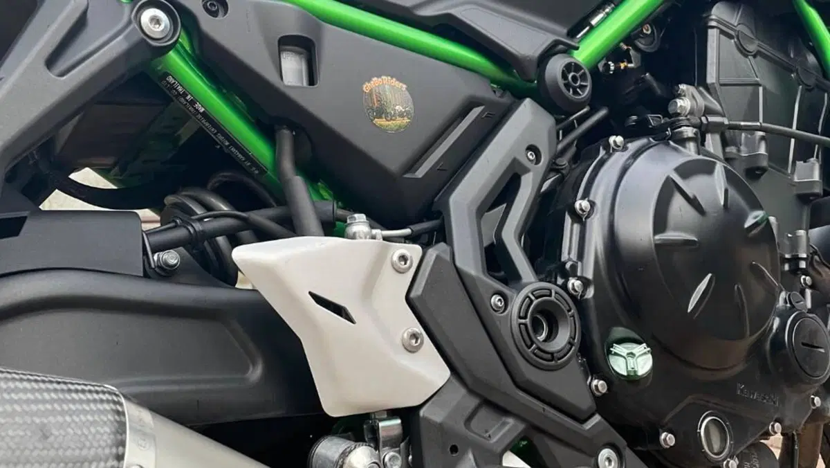 Kawasaki Z 650 (2021 - 24)  (4)