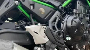 Kawasaki Z 650 (2021 - 24)  (4)