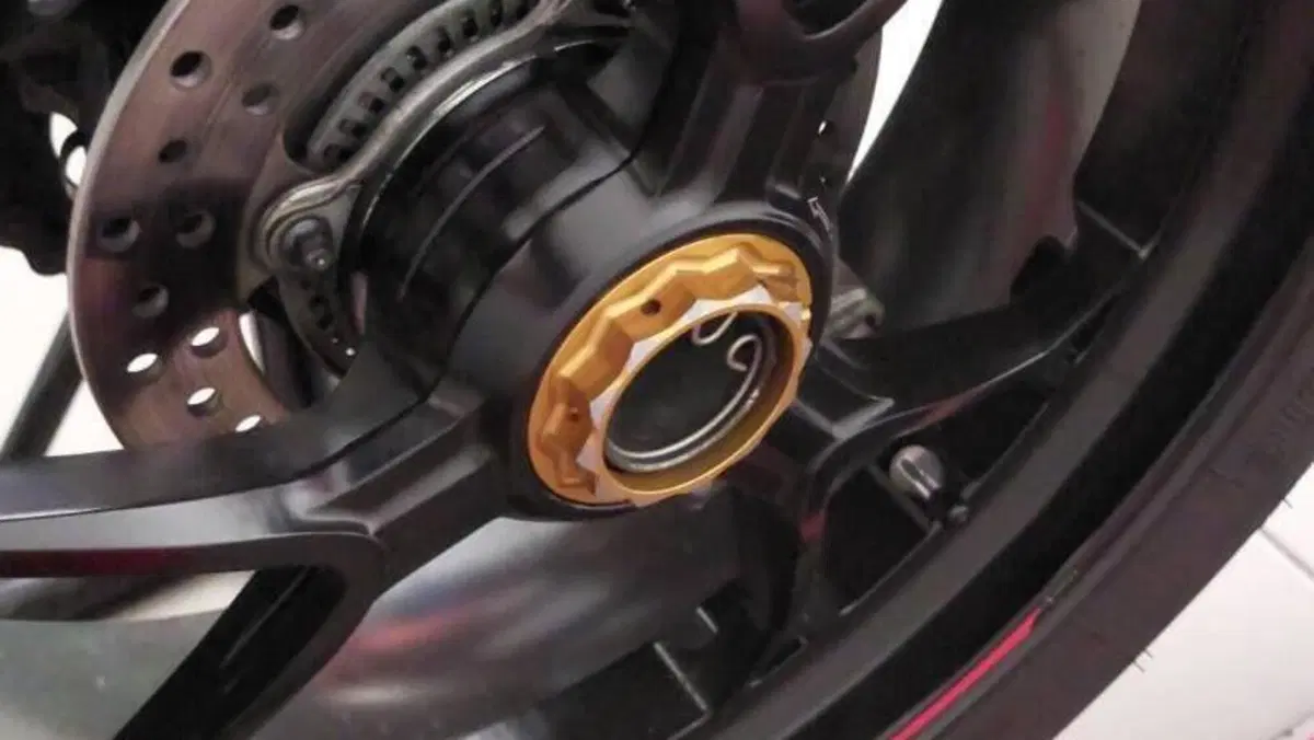 MV Agusta Turismo Veloce 800 (2020)  (14)