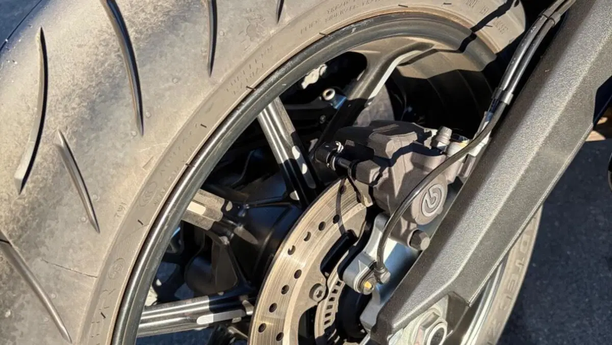 Ducati Scrambler 800 Icon (2021 - 22)  (8)