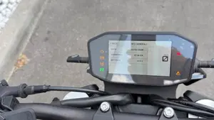 KTM 790 Duke L (2023 - 24)  (4)