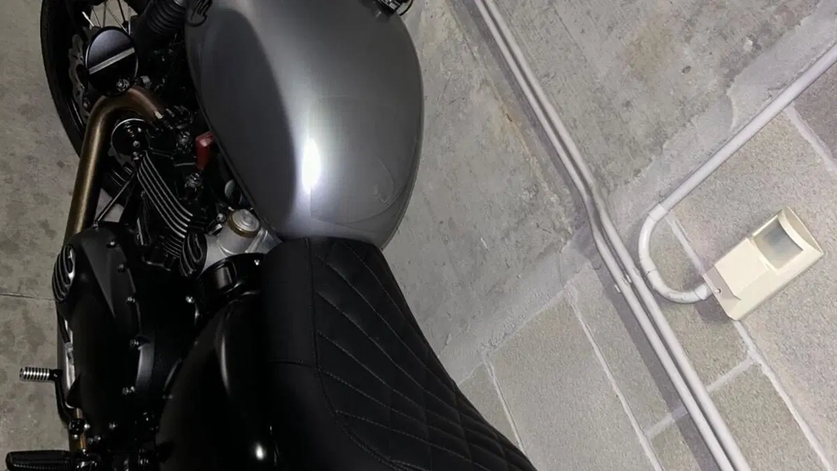 Triumph Bonneville T120 (2016 - 20)  (4)