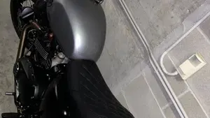 Triumph Bonneville T120 (2016 - 20)  (4)