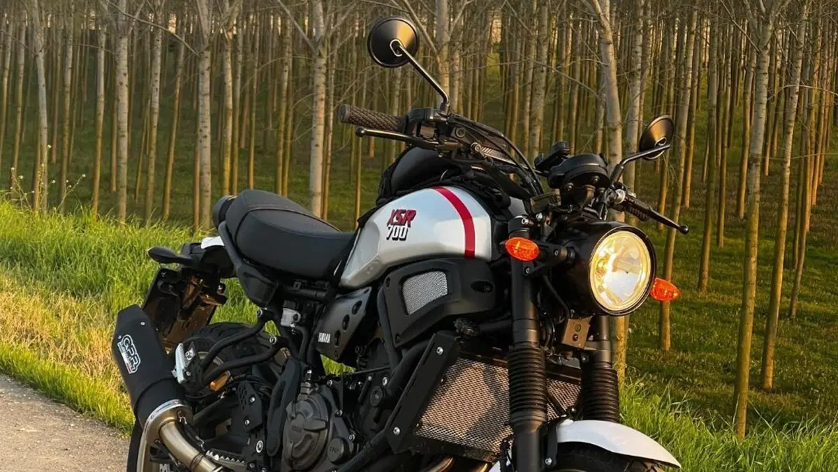 Yamaha XSR 700 XTribute (2022 - 24)  (3)