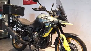 Suzuki V-Strom 800DE (2023 - 24)  (3)