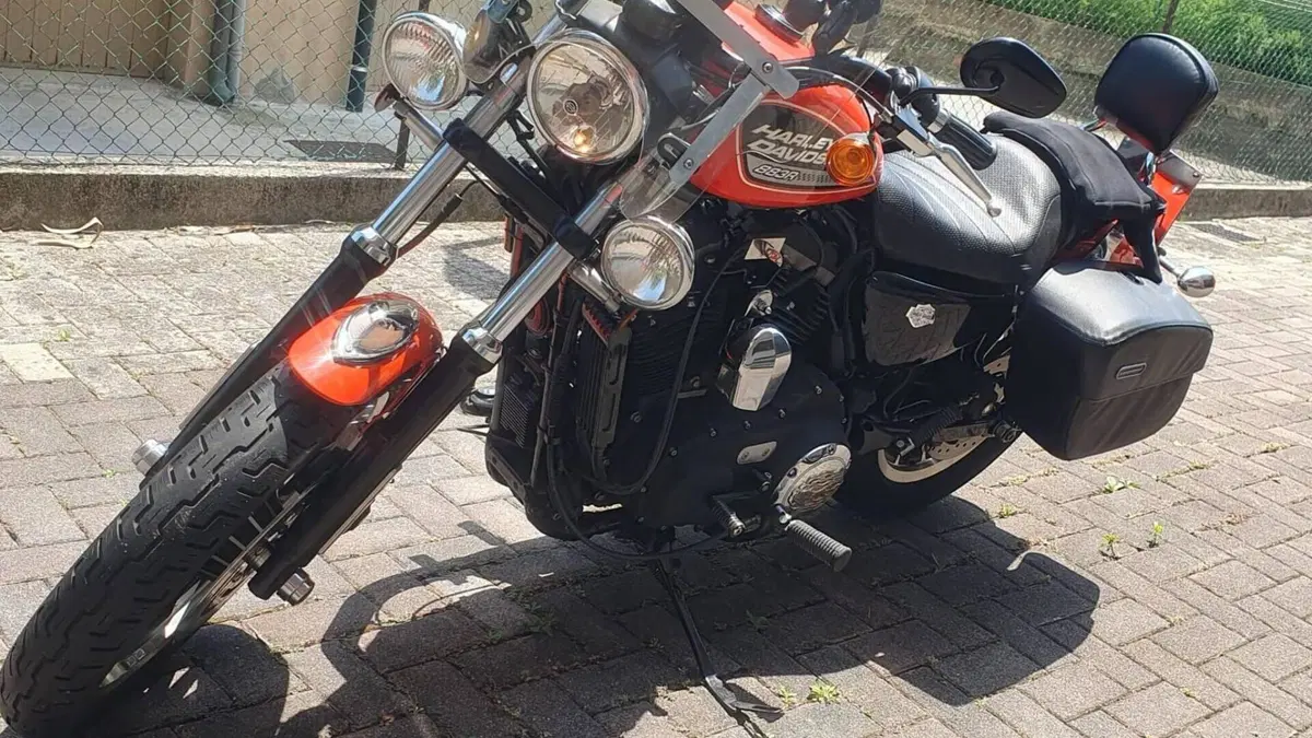 Harley-Davidson 883 R (2008 - 16) - XL 883R  (3)