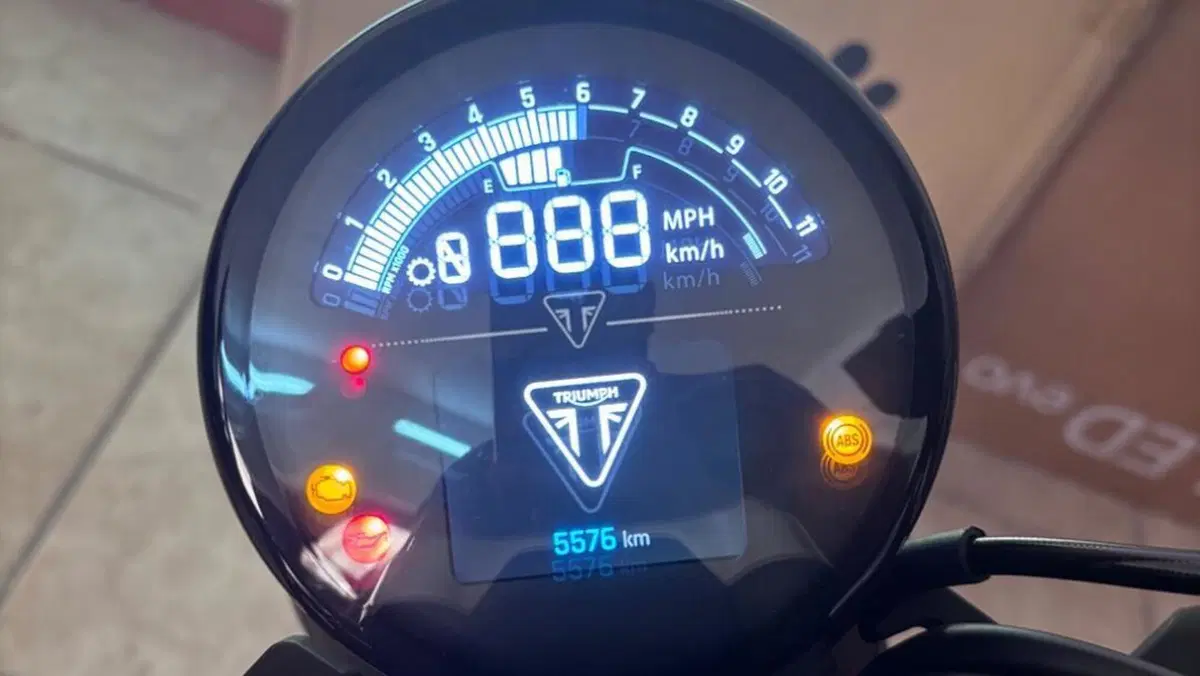 Triumph Trident 660 (2025)  (2)