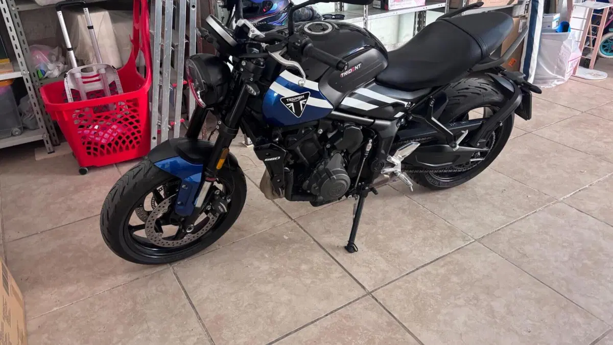 Triumph Trident 660 (2025)  (3)