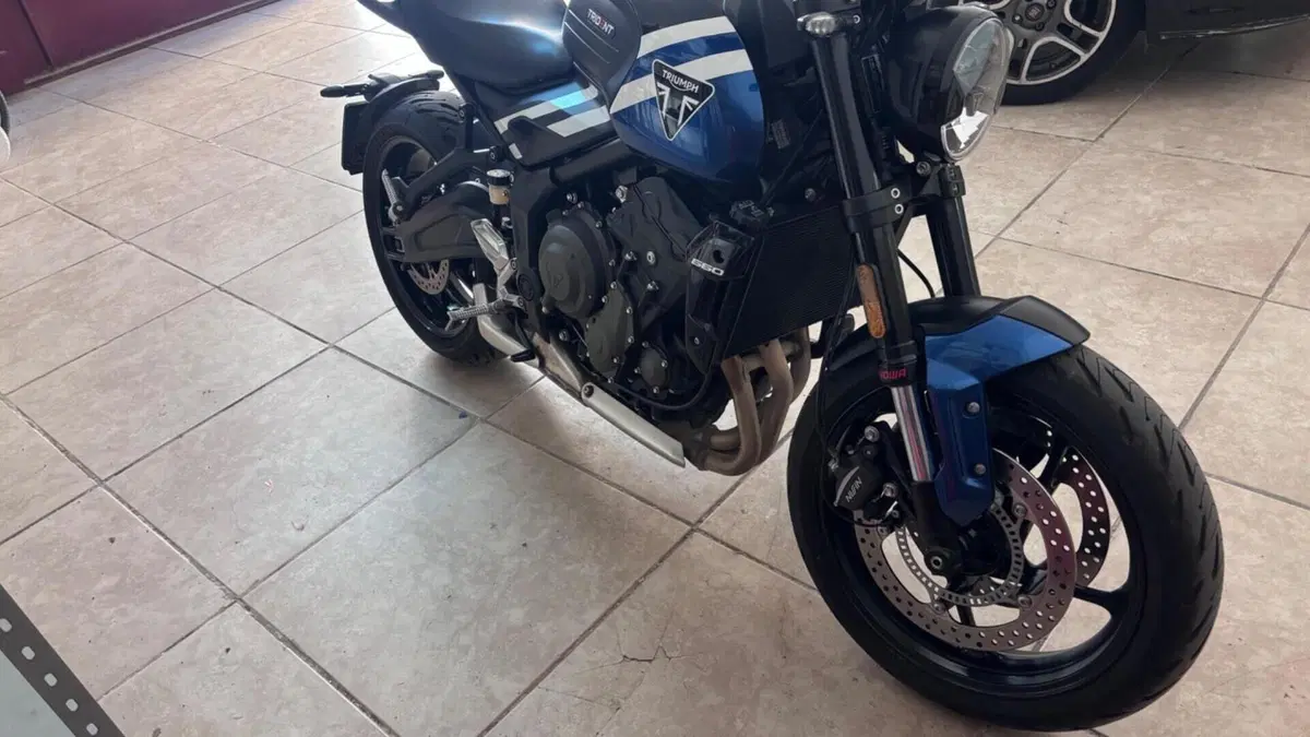 Triumph Trident 660 (2025)  (4)
