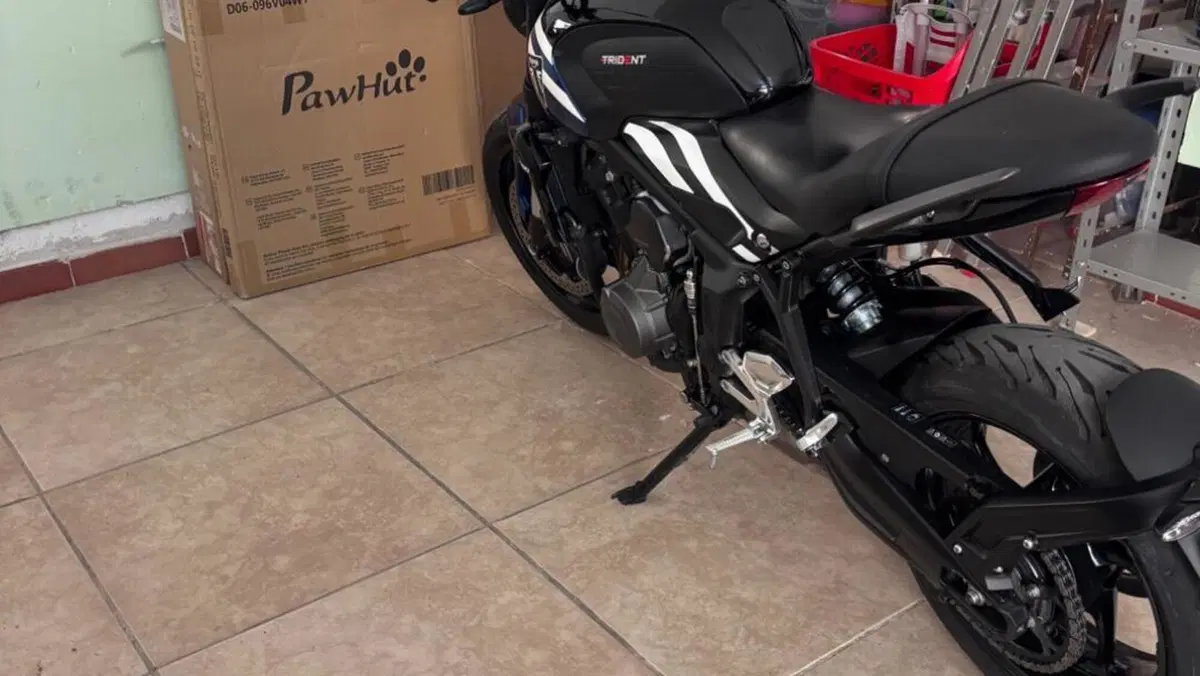 Triumph Trident 660 (2025)  (6)