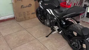 Triumph Trident 660 (2025)  (6)