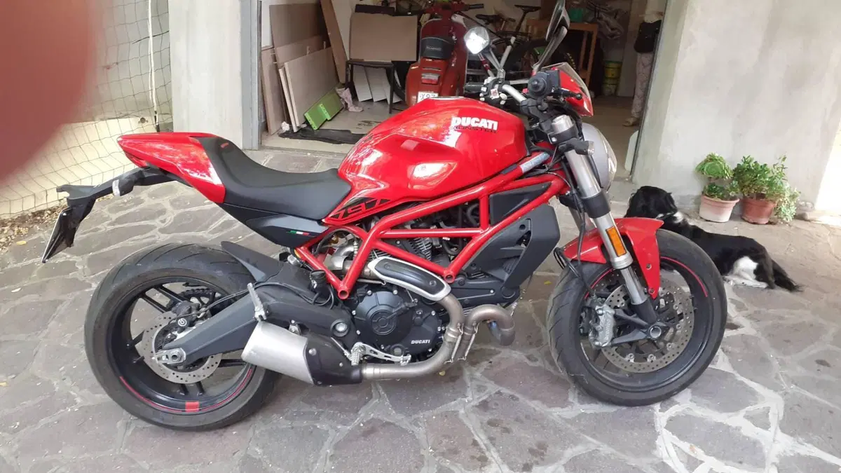 Ducati Monster 797 (2019 - 20) 