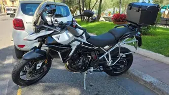 Triumph Tiger 900 GT Pro (2024 - 26) usata