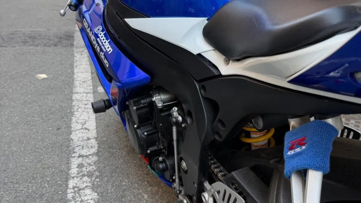 Suzuki GSX R 750 (2008 - 10)  (3)