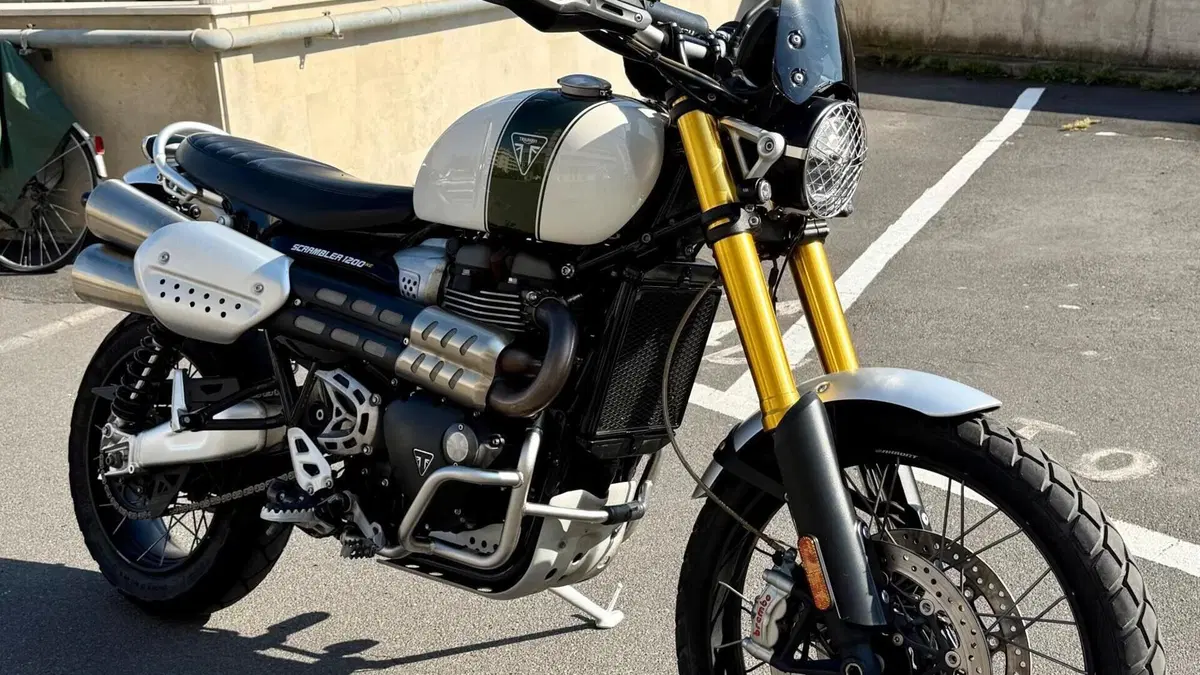 Triumph Scrambler 1200 XE (2019 - 20)  (7)