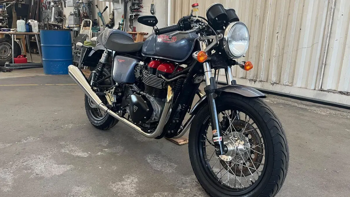 Triumph Thruxton 900 (2004 - 15)  (3)