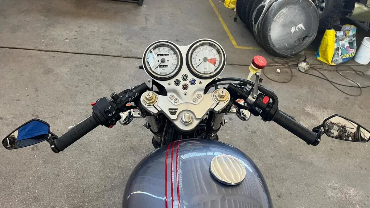Triumph Thruxton 900 (2004 - 15)  (17)
