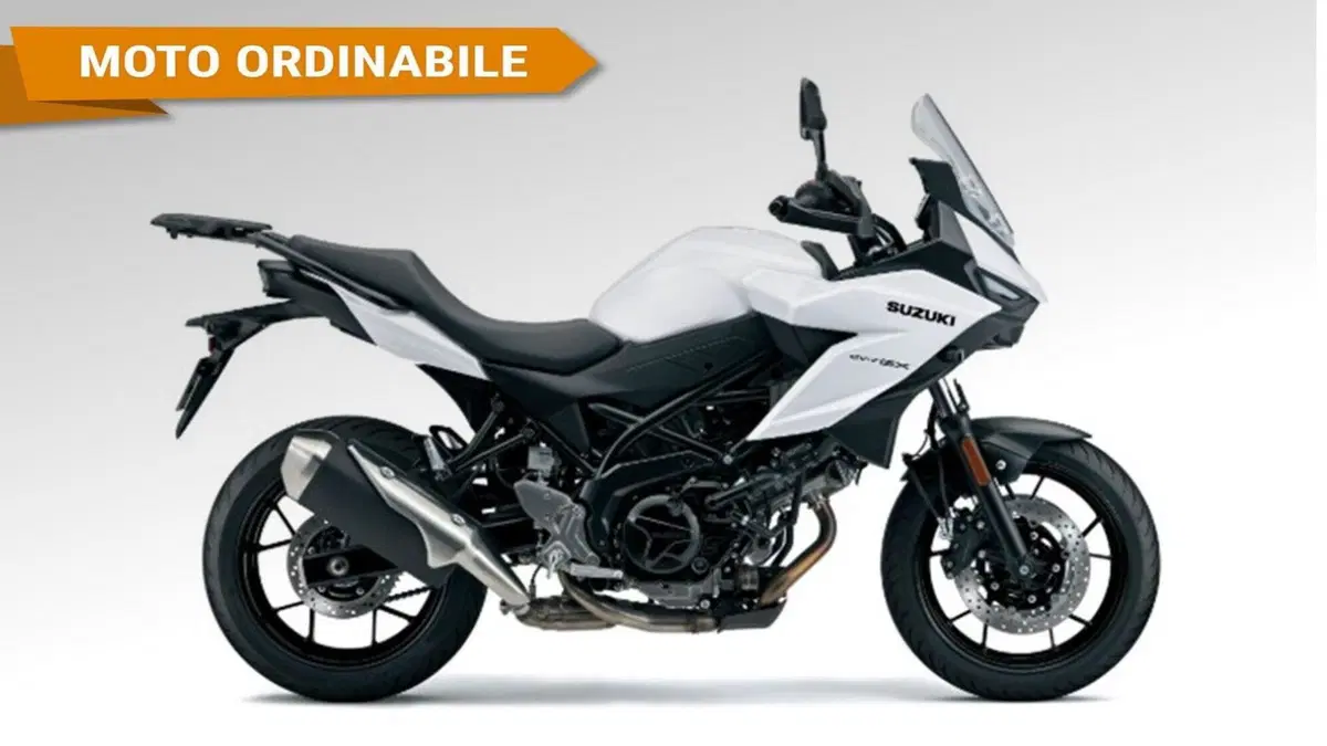 Suzuki SV-7GX (2026)  (2)