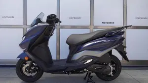 Suzuki Burgman Street 125 Executive (2023 - 26)  (5)
