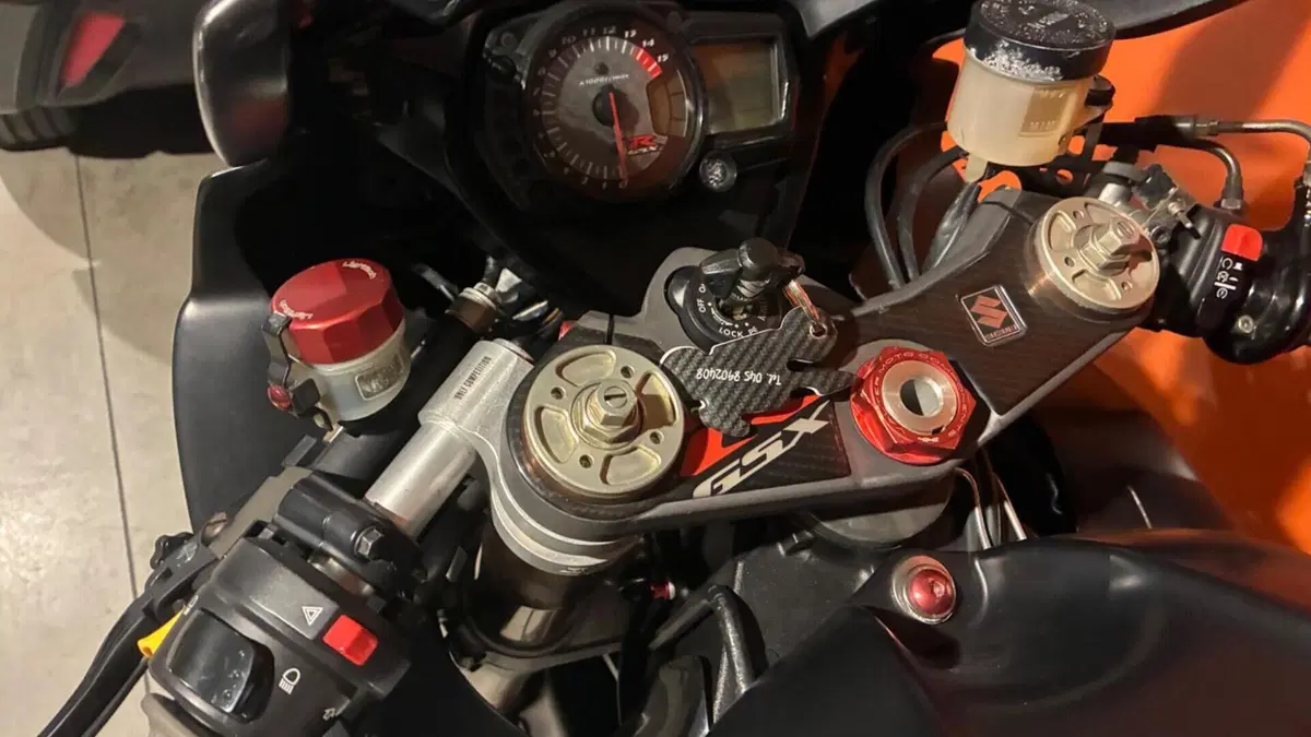 Suzuki GSX-R1000 (2006 - 08)  (9)