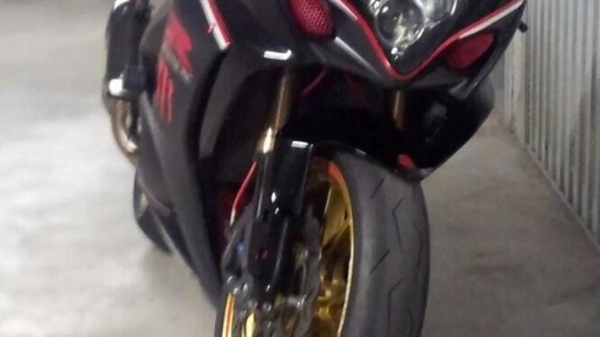 Suzuki GSX-R1000 (2006 - 08)  (13)