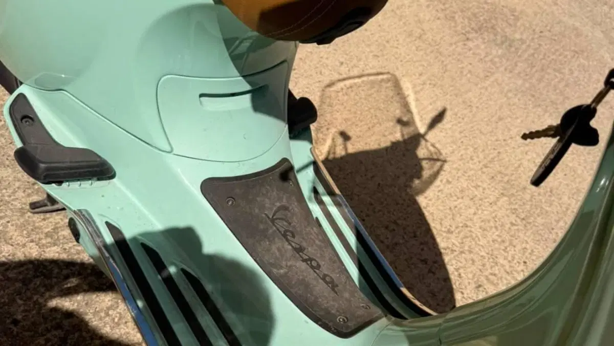 Piaggio Vespa 125 Primavera  (19)