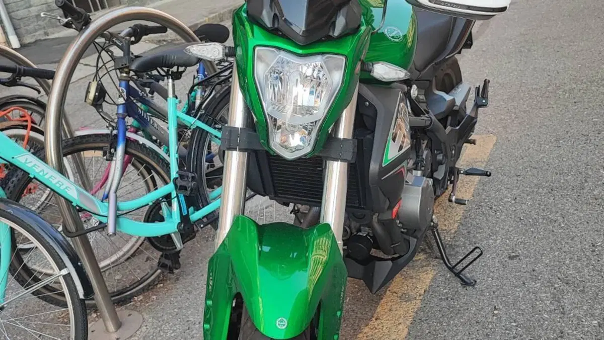Benelli BN 302 (2017 - 19)  (2)