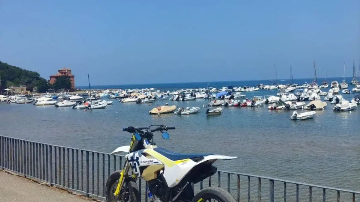 Husqvarna TC 125 (2017)  (8)