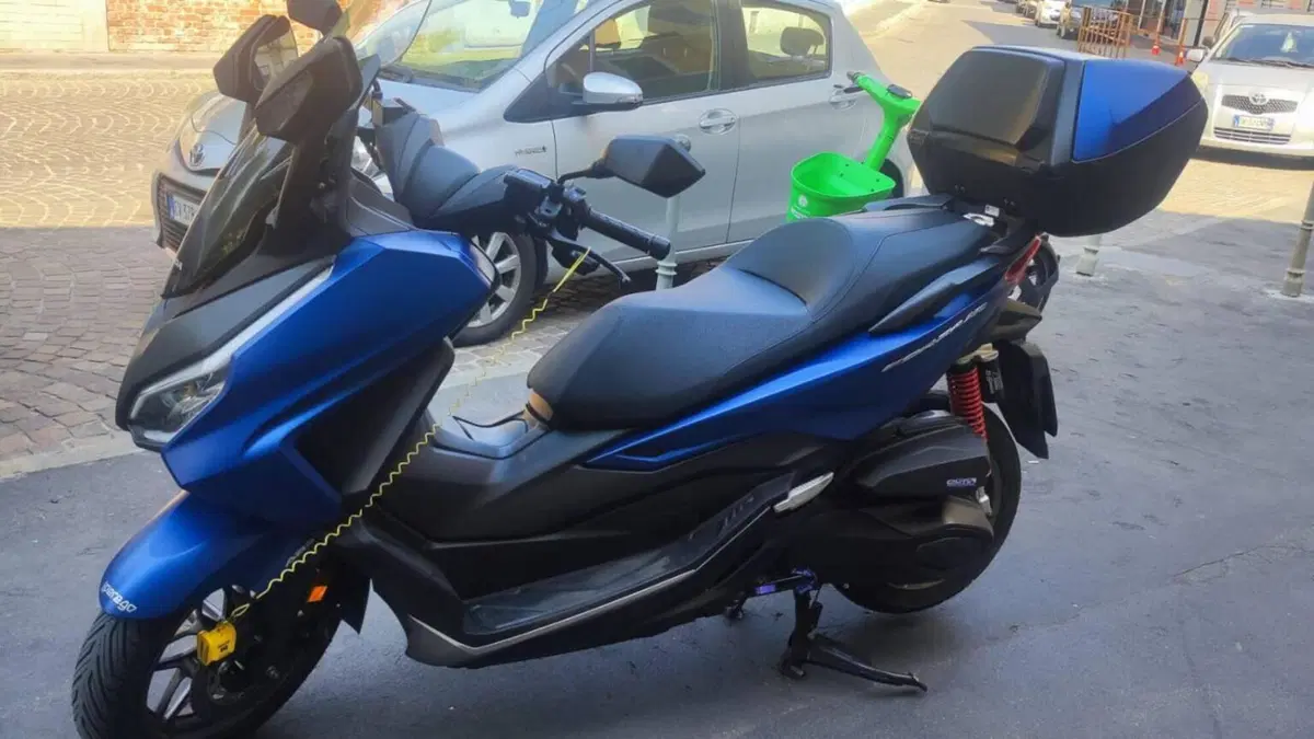 Honda Forza 350 Deluxe (2022 - 24)  (2)