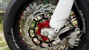 Betamotor RR 300 2T Enduro Racing (2014)  (3)