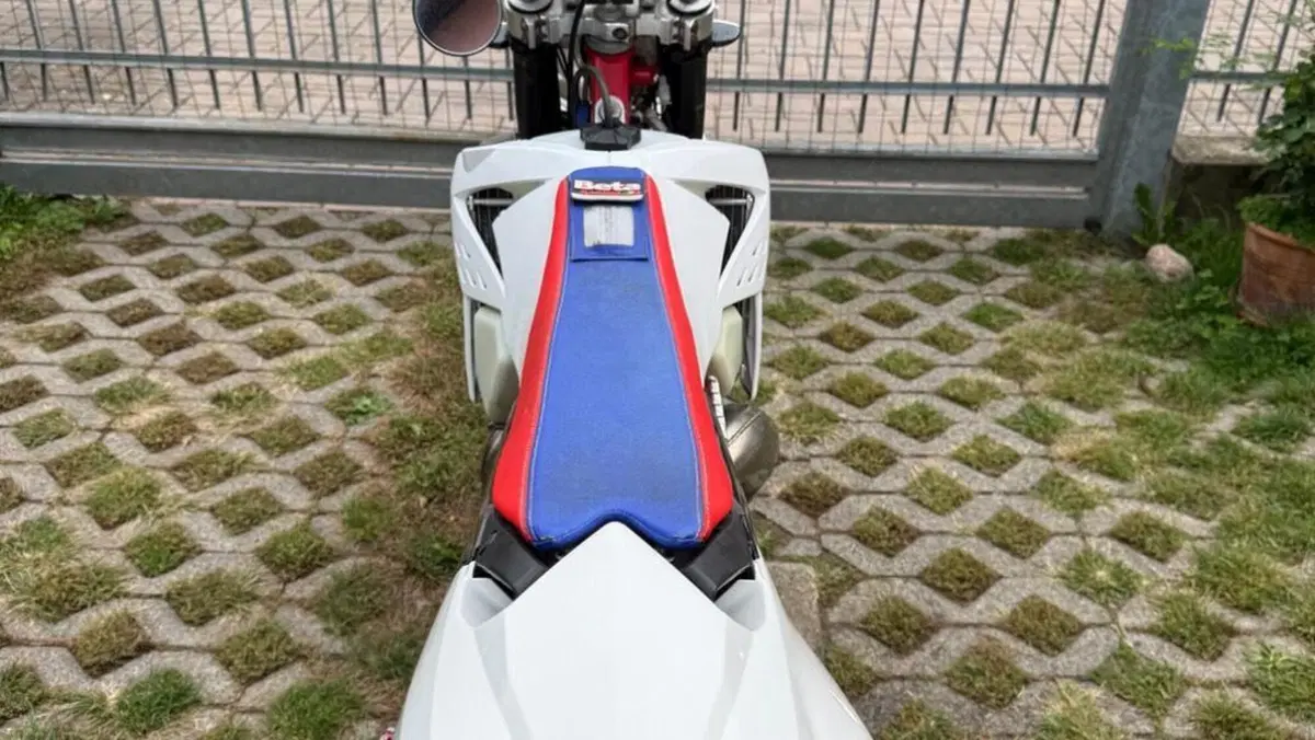 Betamotor RR 300 2T Enduro Racing (2014)  (6)