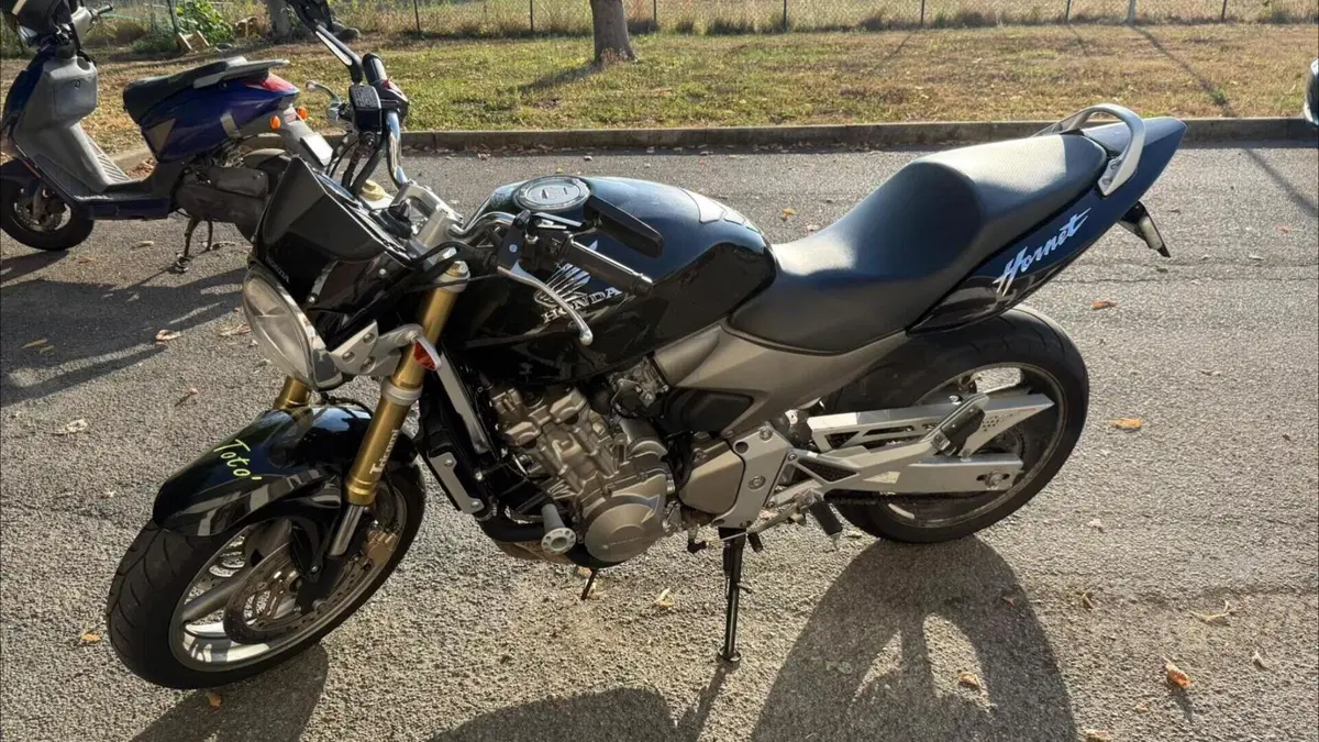 Honda Hornet 600 (2005 - 06)  (3)
