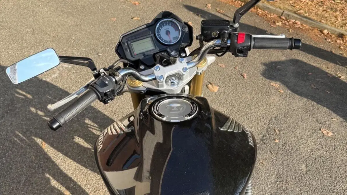 Honda Hornet 600 (2005 - 06)  (4)
