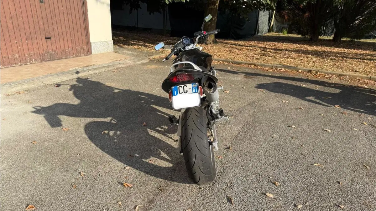Honda Hornet 600 (2005 - 06)  (5)