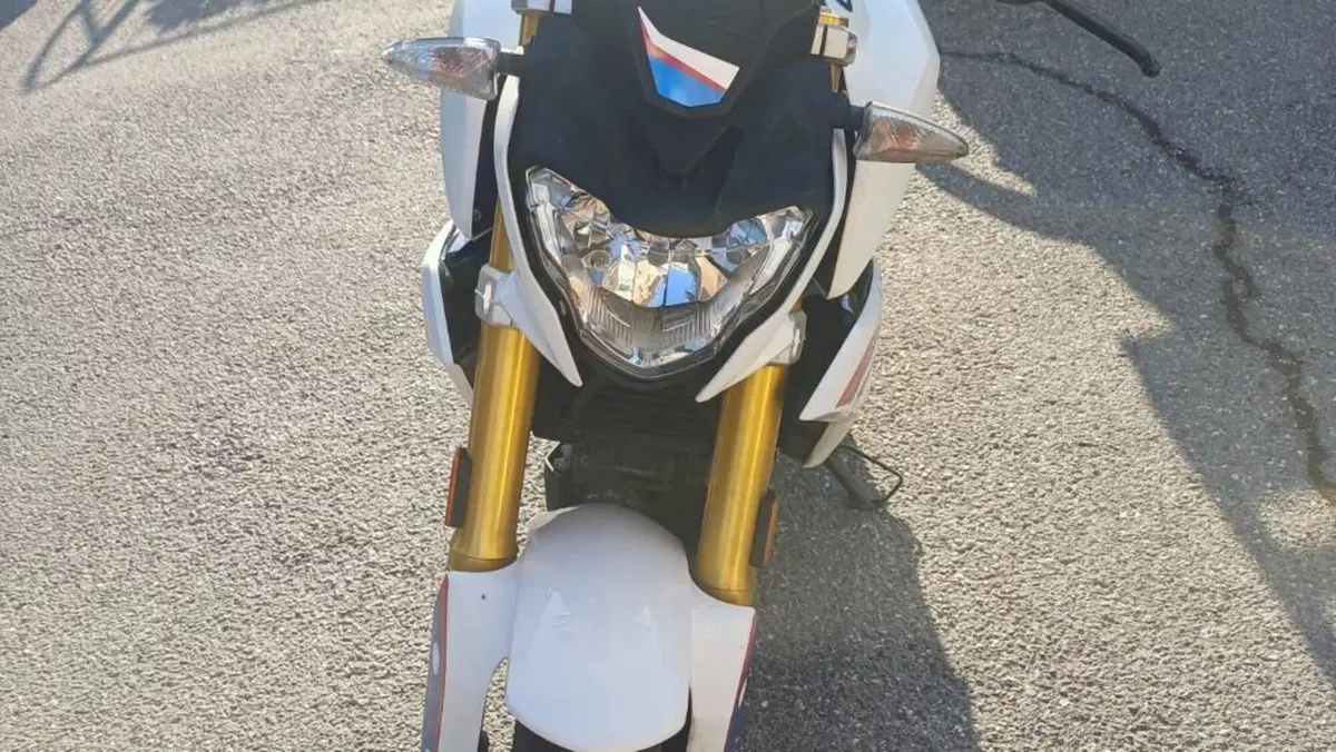 Bmw G 310 R (2016 - 20)  (2)