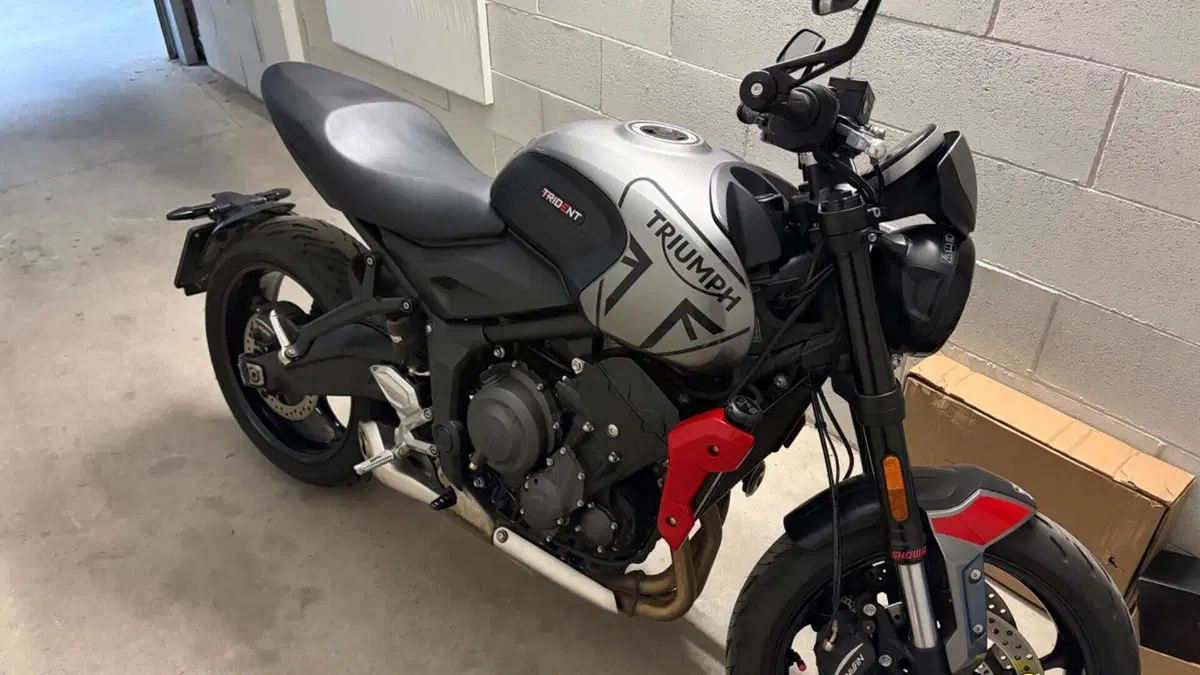 Triumph Trident 660 (2021 - 24)  (7)
