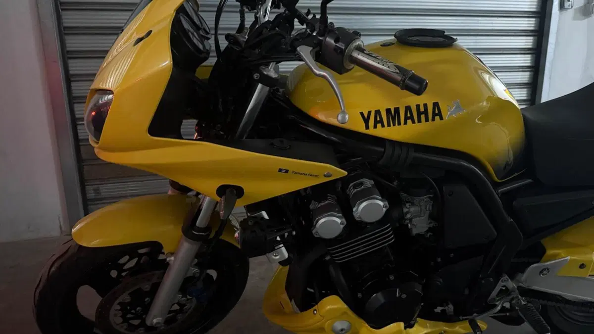 Yamaha FZS 600 Fazer (2002 - 03)  (3)