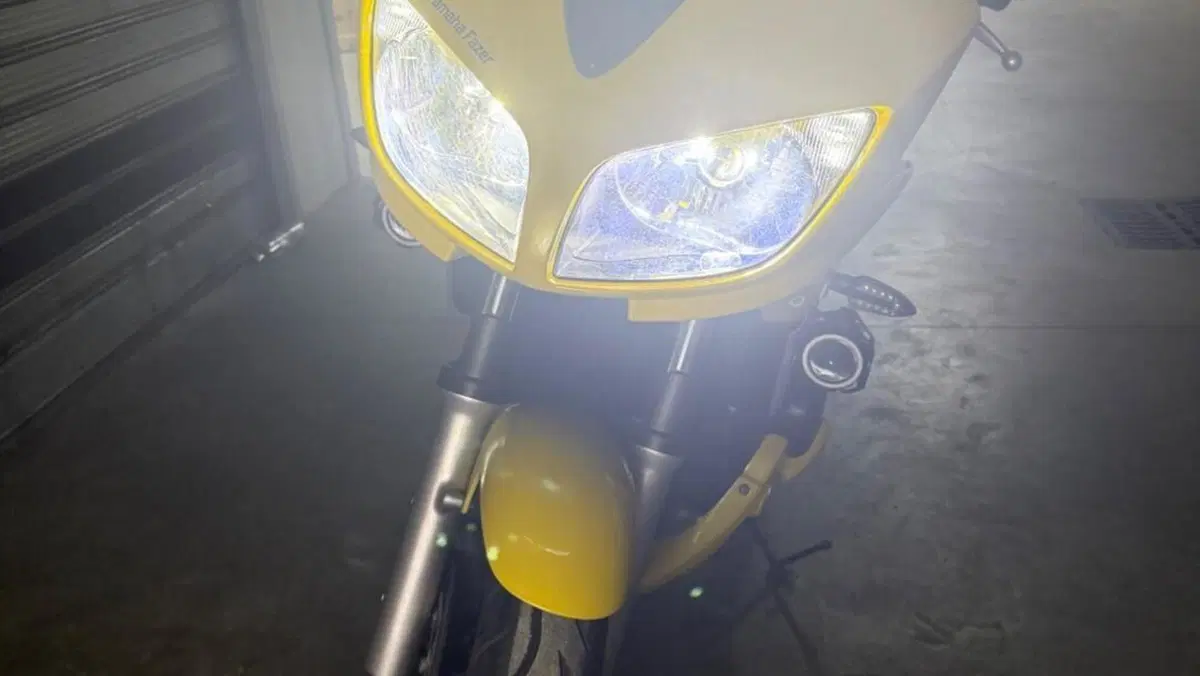 Yamaha FZS 600 Fazer (2002 - 03)  (9)