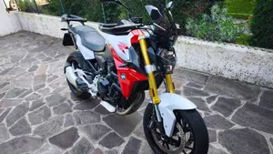 Bmw F 900 R (2017 - 20)  (2)