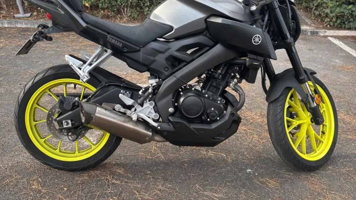 Yamaha MT-125 ABS (2017 - 19)  (2)