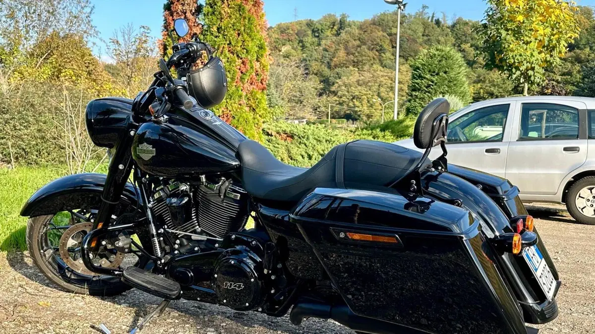 Harley-Davidson Road King Special (2021 - 25)  (2)