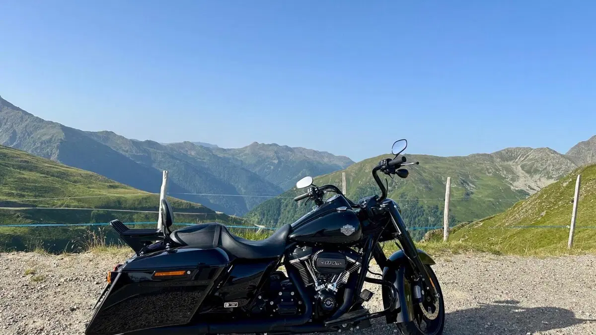 Harley-Davidson Road King Special (2021 - 25)  (6)
