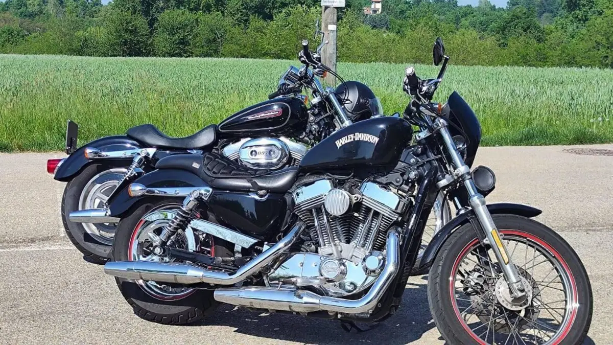 Harley-Davidson 883 Custom (2006 - 07) - XL 883C 