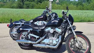 Harley-Davidson 883 Custom (2006 - 07) - XL 883C usata