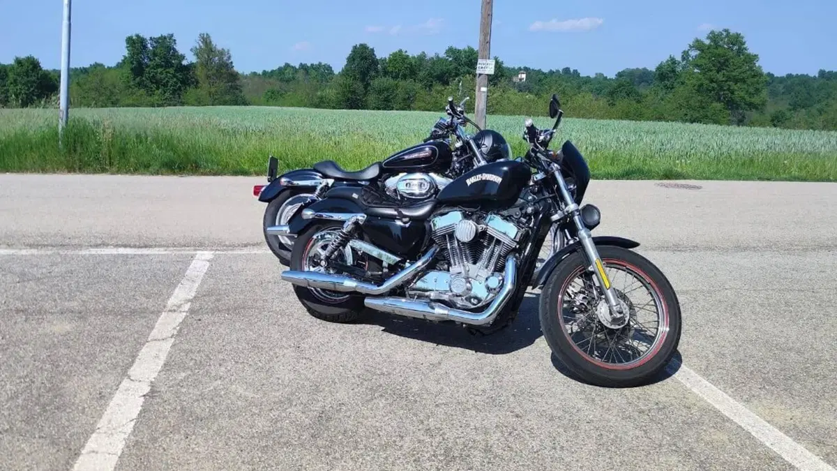 Harley-Davidson 883 Custom (2006 - 07) - XL 883C  (2)