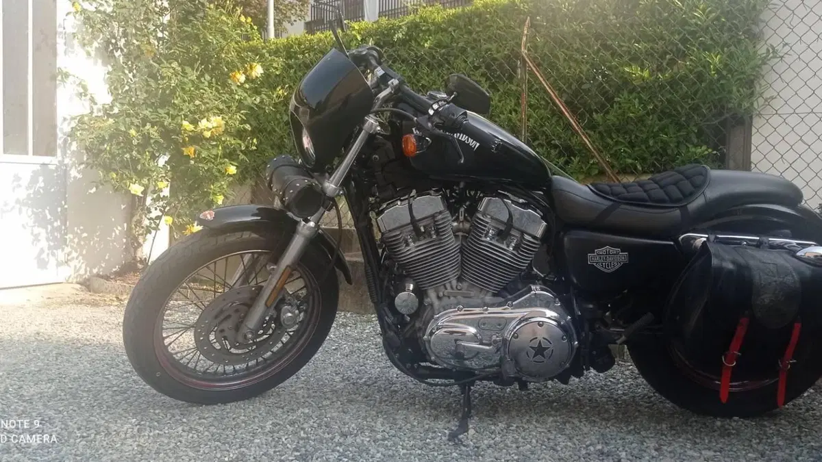 Harley-Davidson 883 Custom (2006 - 07) - XL 883C  (6)